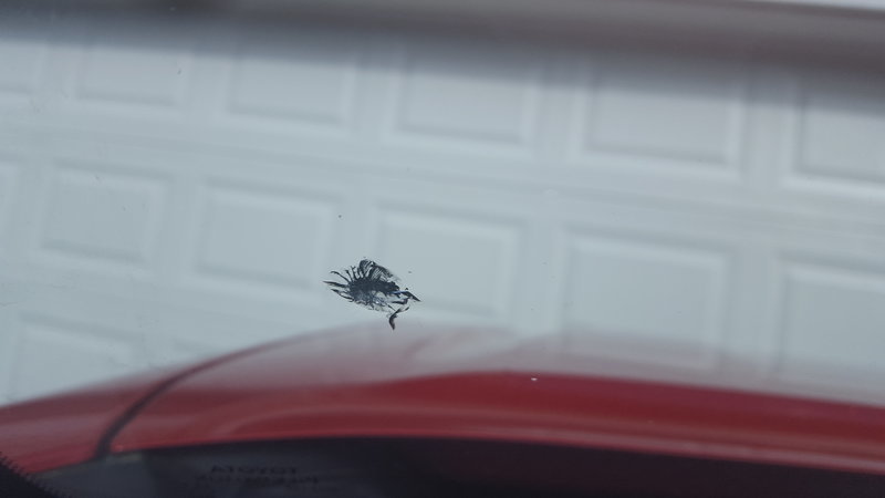 20170318_115316.jpg