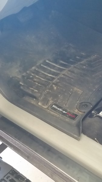 20170318_131751.jpg