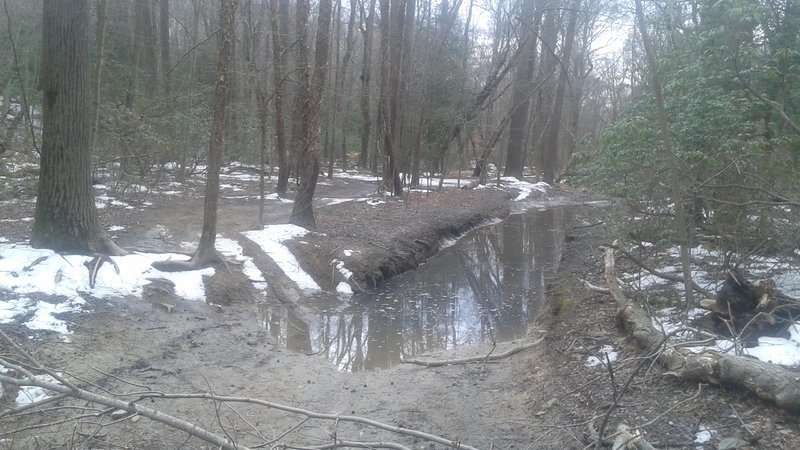 20170318_134930.jpg