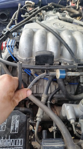 20170319_181157.jpg