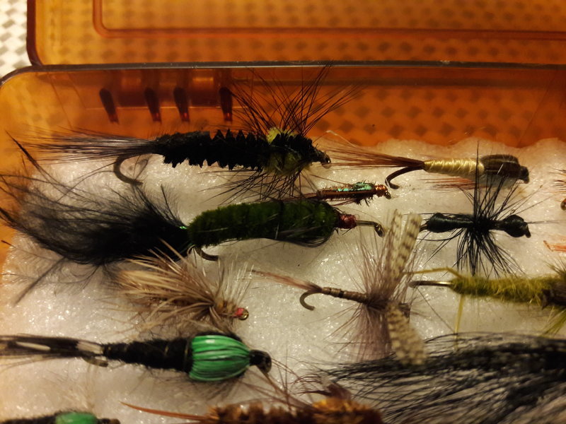 Bassdash Fly Fishing Flies Kit Fly Assortment Trout Fishing - Import