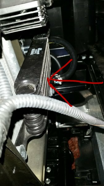 20170321_070414.jpg