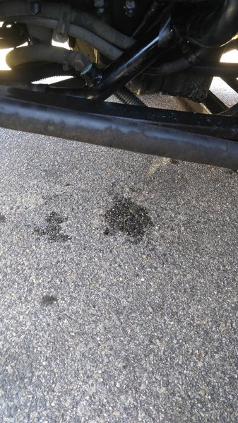 20170322_152447.jpg