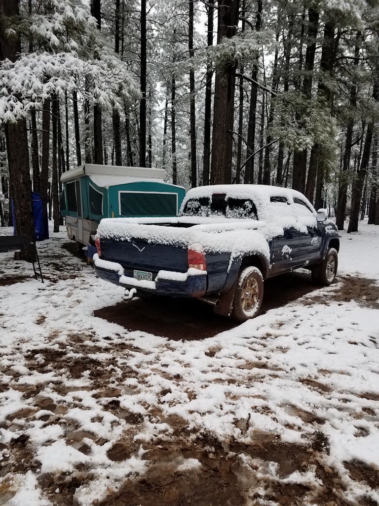 20170323_073933.jpg
