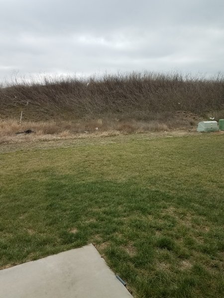 20170323_122748.jpg