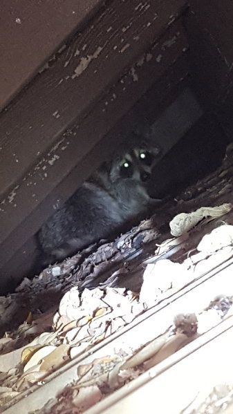 20170323_202756.jpg
