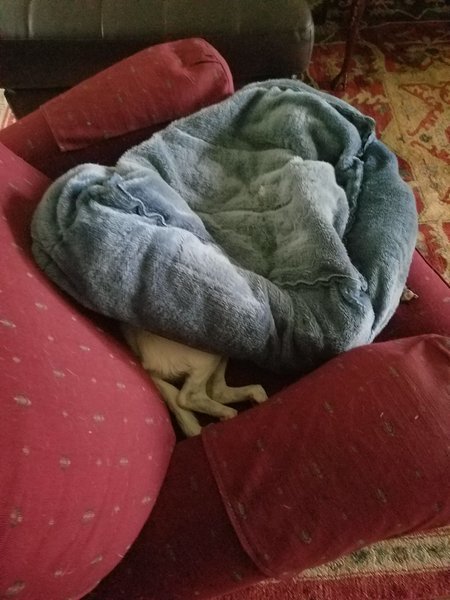 20170324_084218.jpg