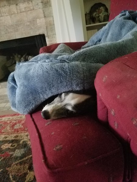20170324_084233.jpg