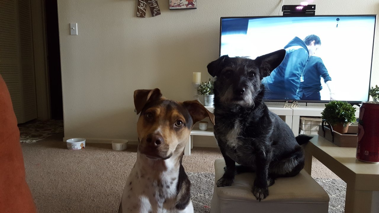 20170324_171215.jpg