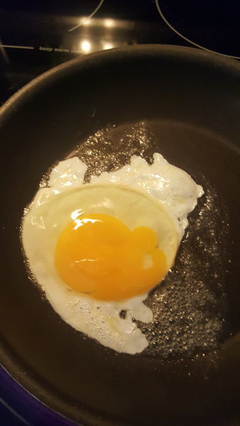 20170325_094346.jpg