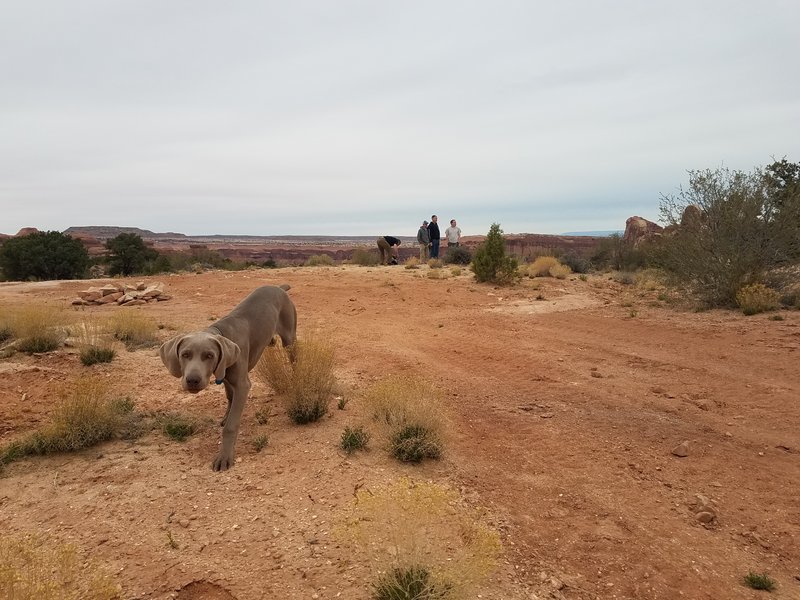 20170325_112401.jpg
