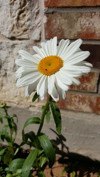 20170325_155035.jpg