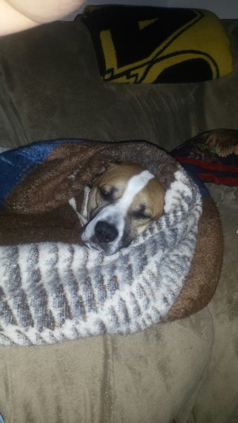 20170325_220636.jpg