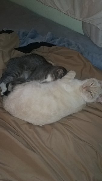 20170326_130758.jpg