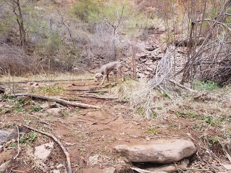 20170327_110631.jpg