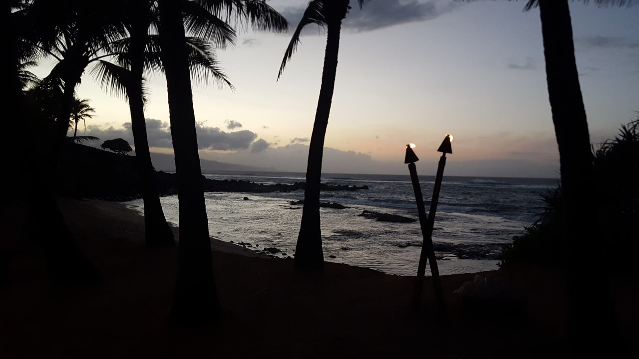 20170327_185502.jpg