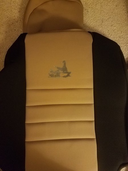 20170327_214333.jpg