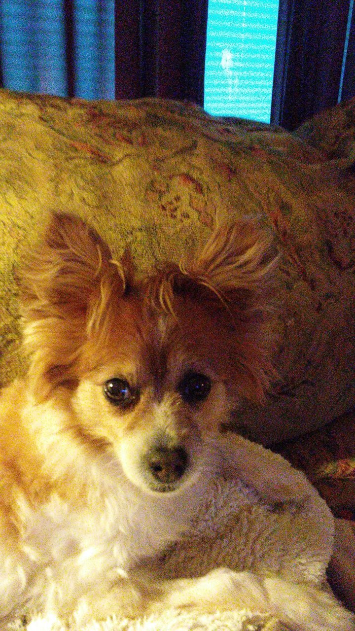 20170329_200629_Burst01.jpg