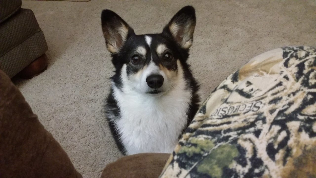 20170330_200125.jpg