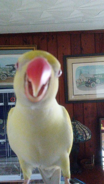20170331_145613_Burst01.jpg