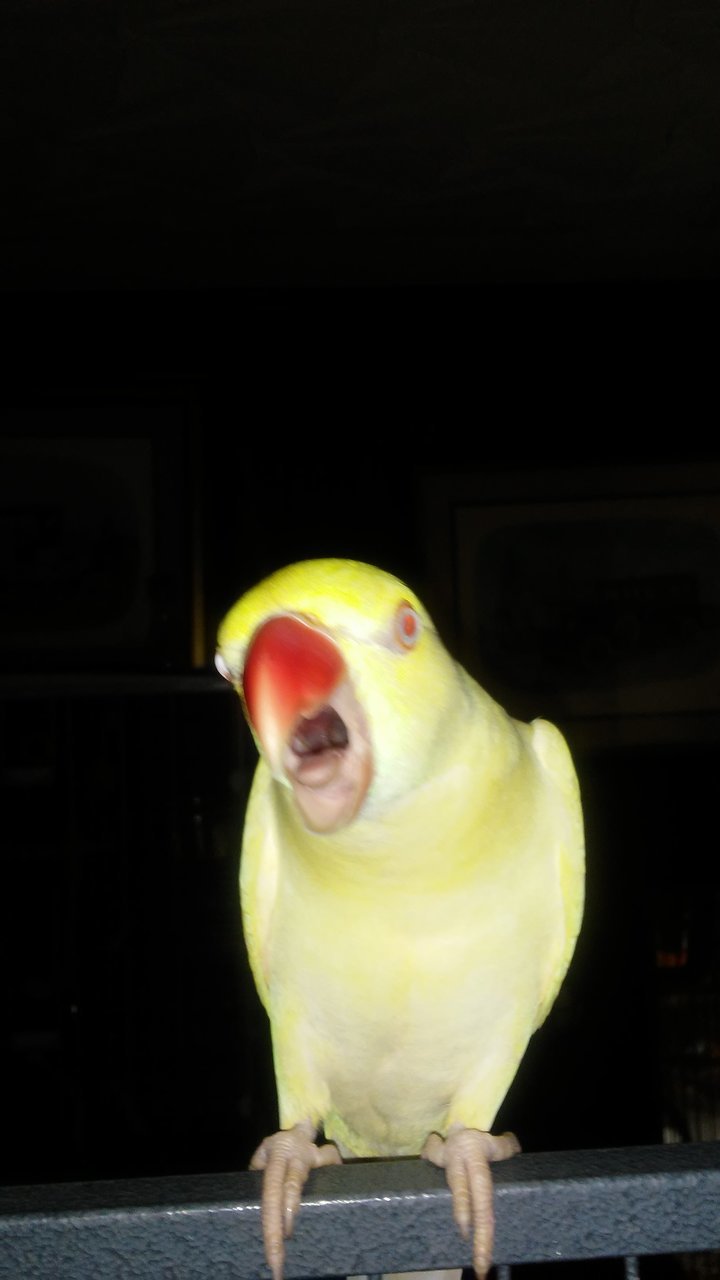 20170331_145645.jpg