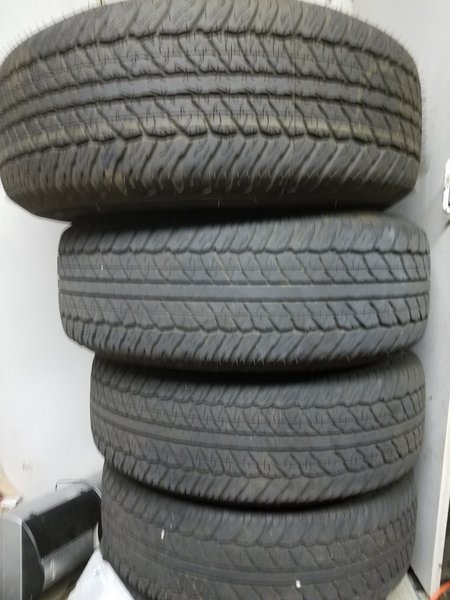 20170331_210508.jpg