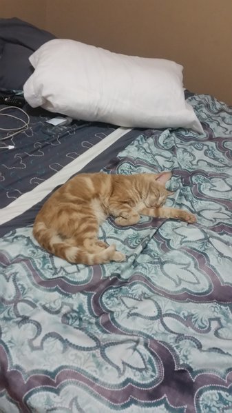 20170331_221514.jpg