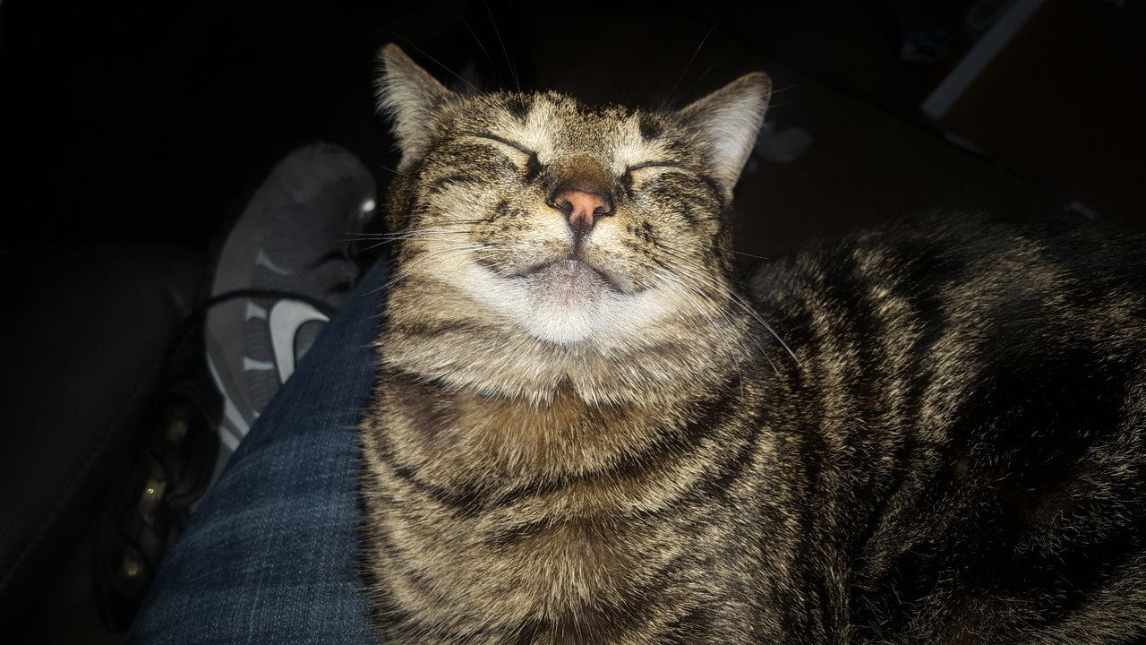20170401_134931.jpg