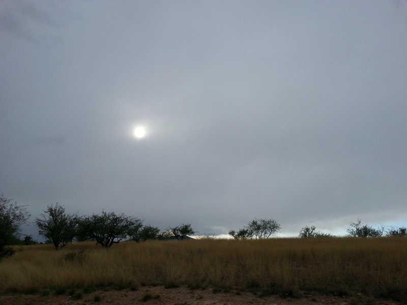 20170401_170638.jpg