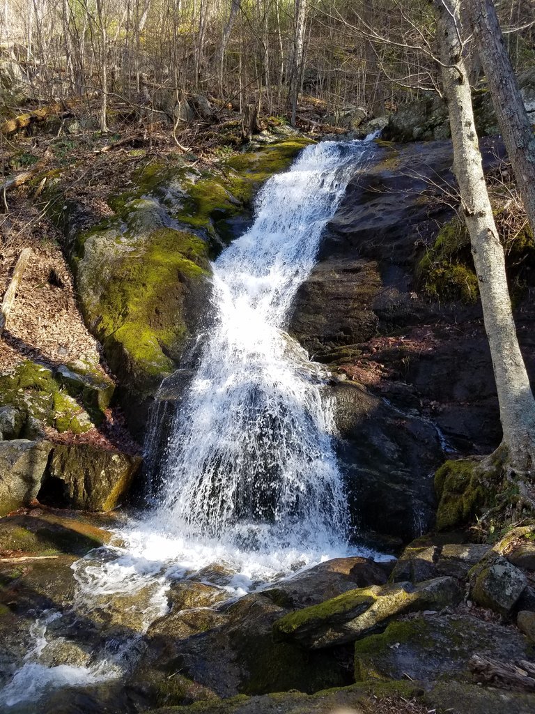 20170401_171623.jpg