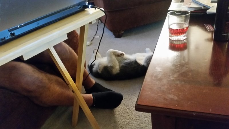 20170402_191237.jpg