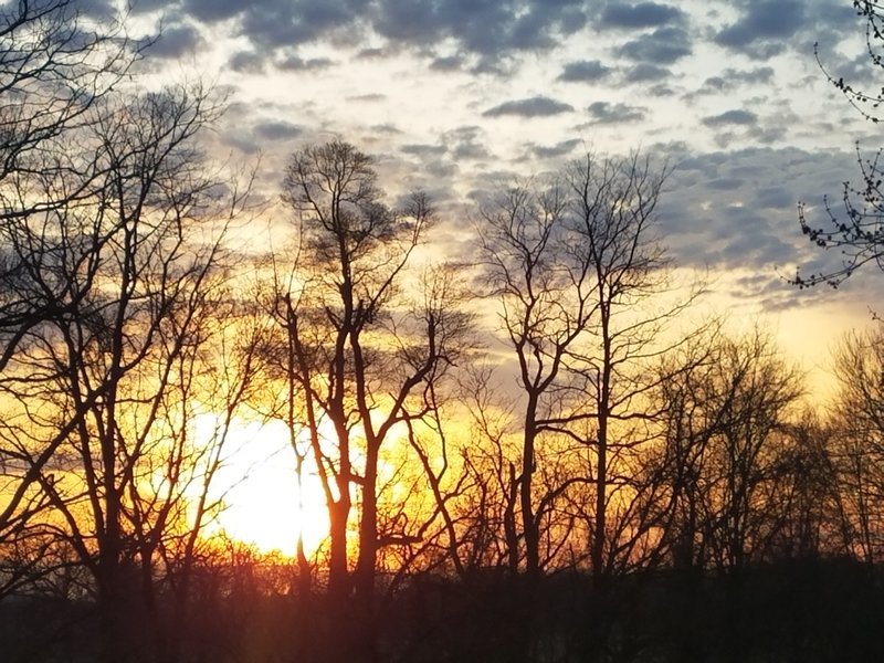 20170403_070233.jpg