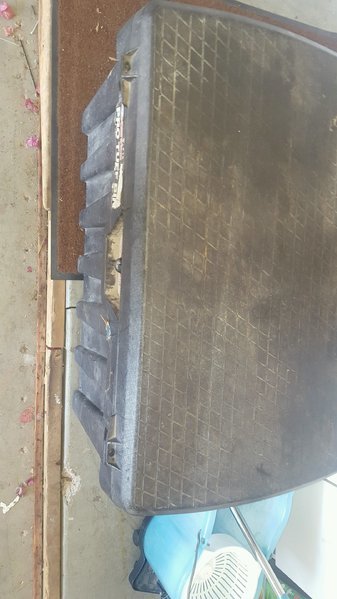 20170403_120200.jpg