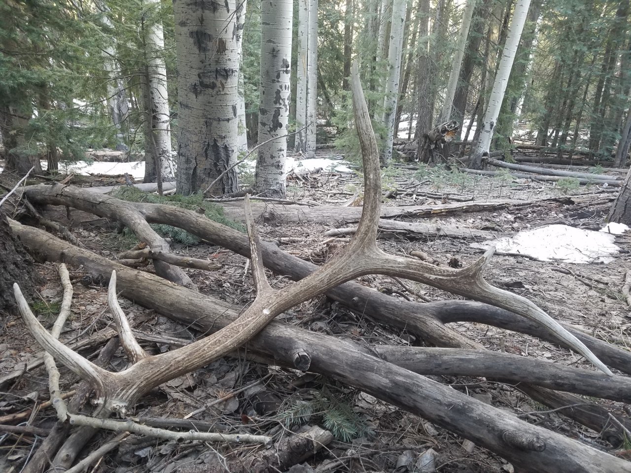 20170403_163829.jpg