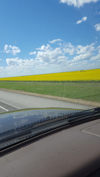 20170405_161104.jpg