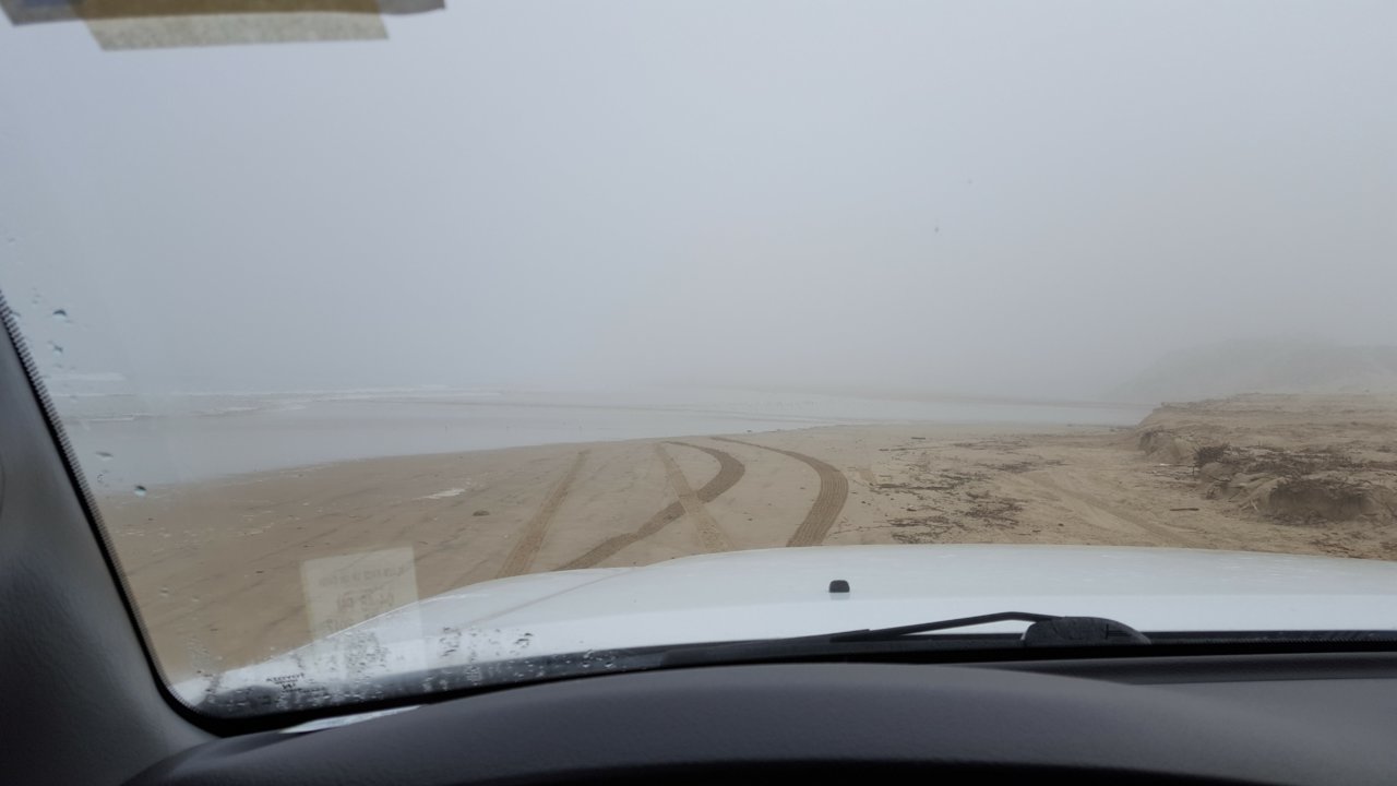 20170406_074346.jpg