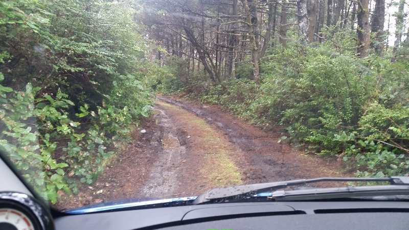 20170406_093845.jpg