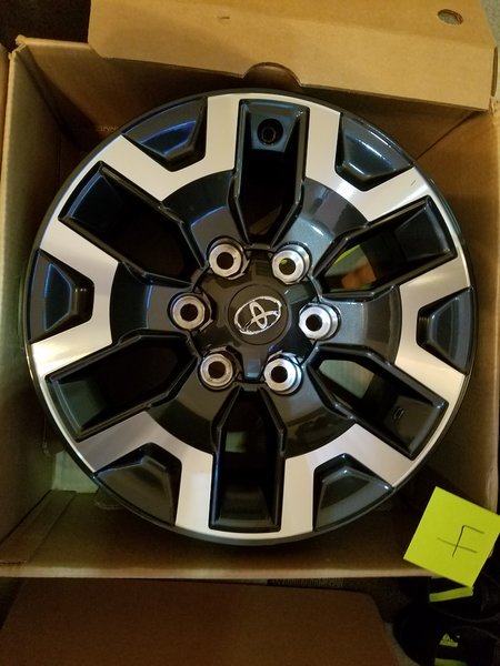 20170406_143746.jpg