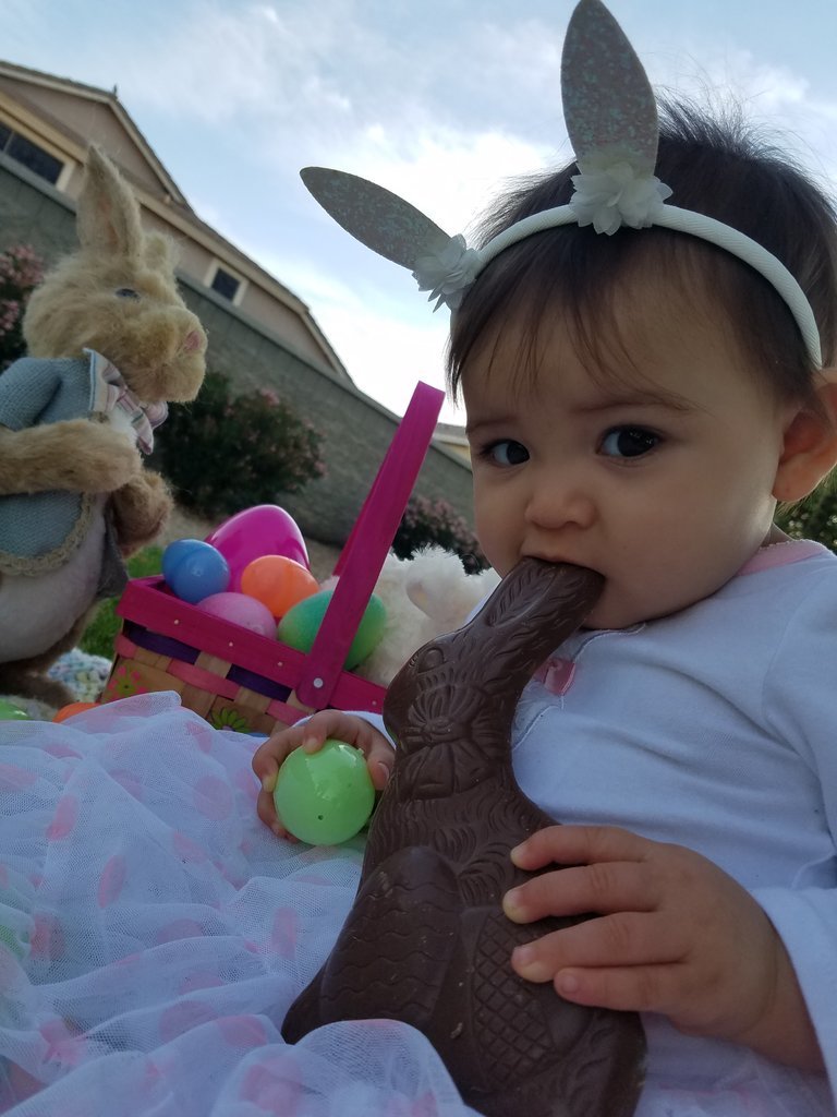 20170407_070911.jpg
