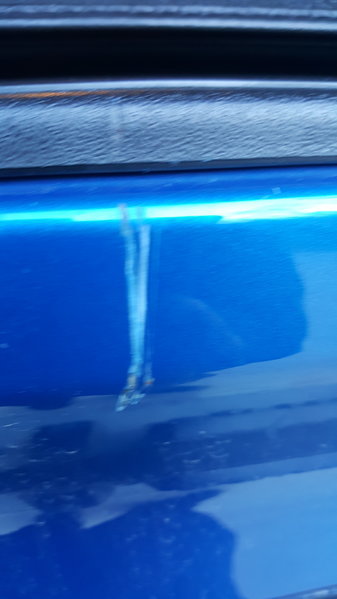 20170407_074147.jpg