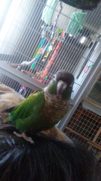 20170407_132206_Burst01.jpg
