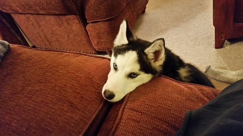 20170407_213903.jpg