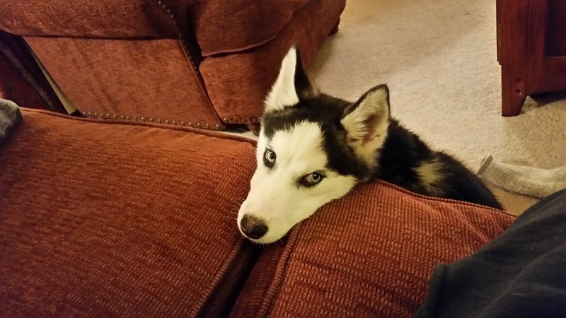 20170407_213909.jpg