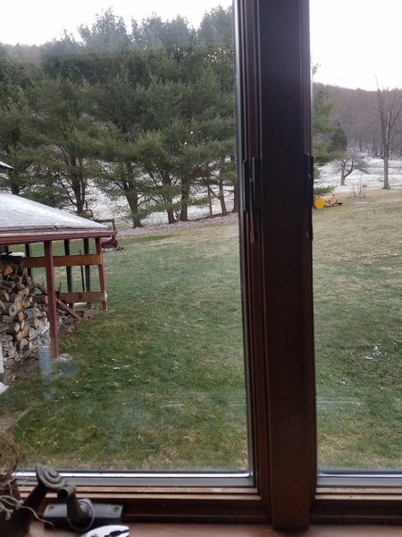 20170408_074125.jpg