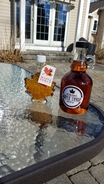 20170408_164721.jpg