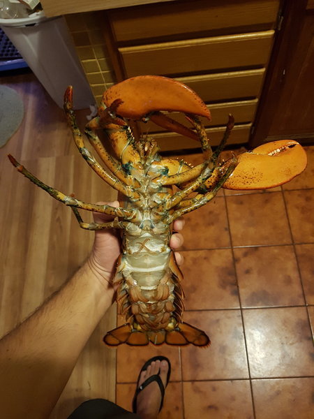 20170408_184016.jpg