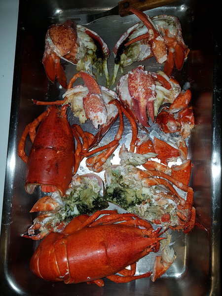 20170408_200745.jpg