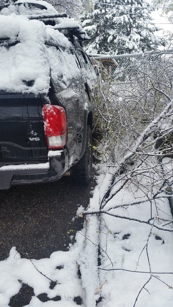 20170409_085421.jpg
