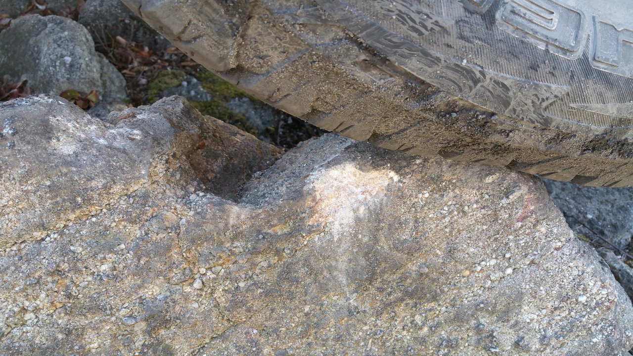 20170409_125040_001.jpg