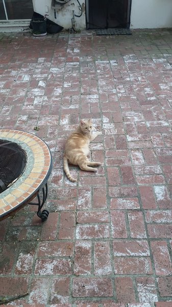 20170410_181656.jpg